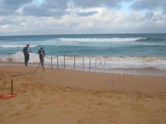 Avoca Beach, NSW