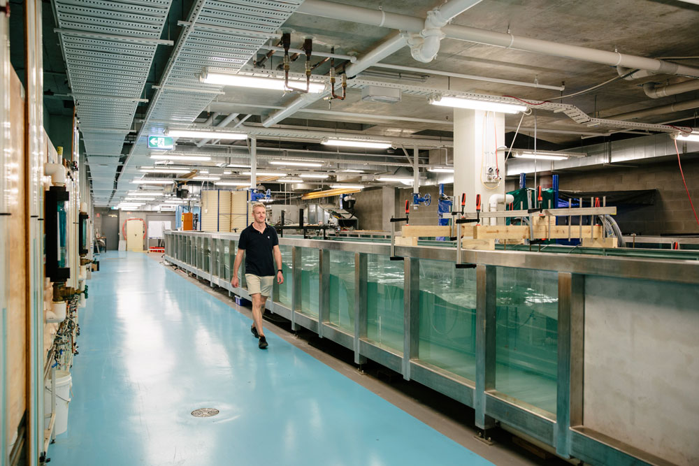 Wave machines in the Hydraulics Laboratory