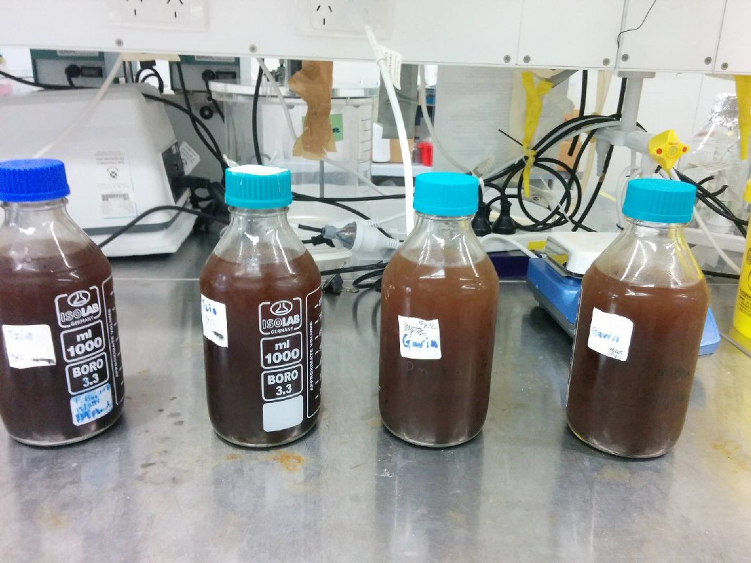 dissolved components from coffee grounds in water