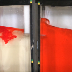 comparison photos of research